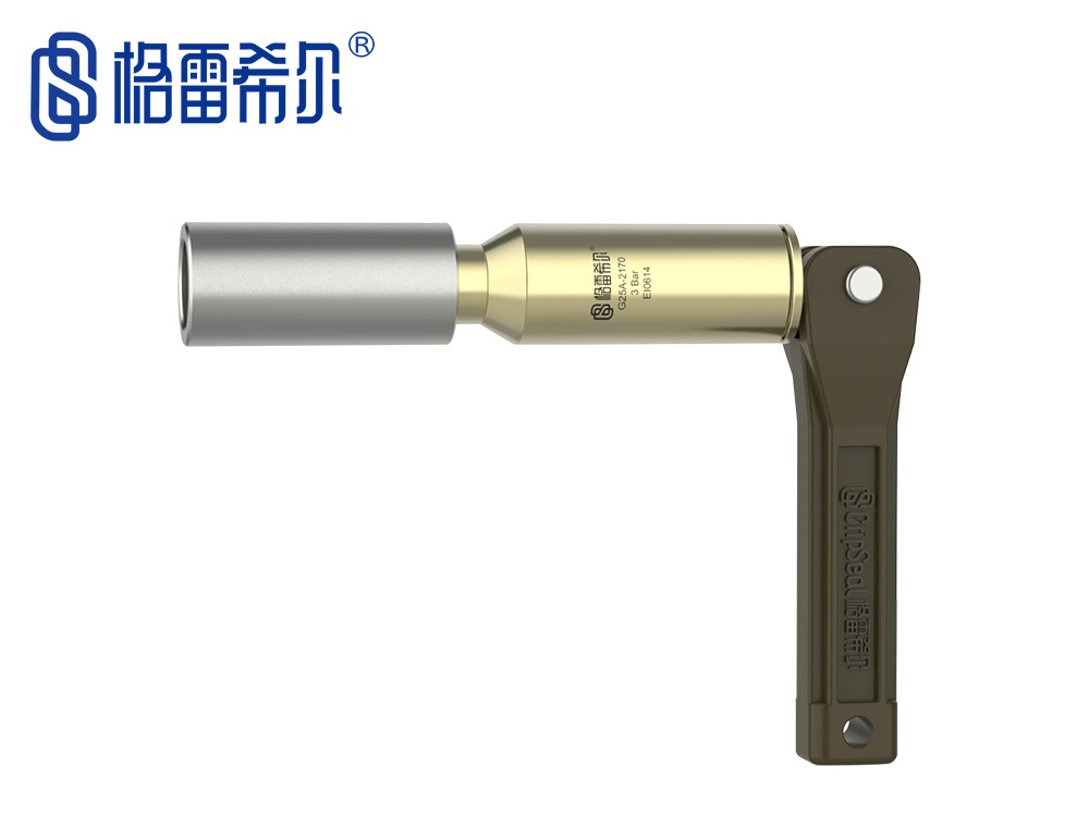 G25A系列低壓密封測(cè)試接頭